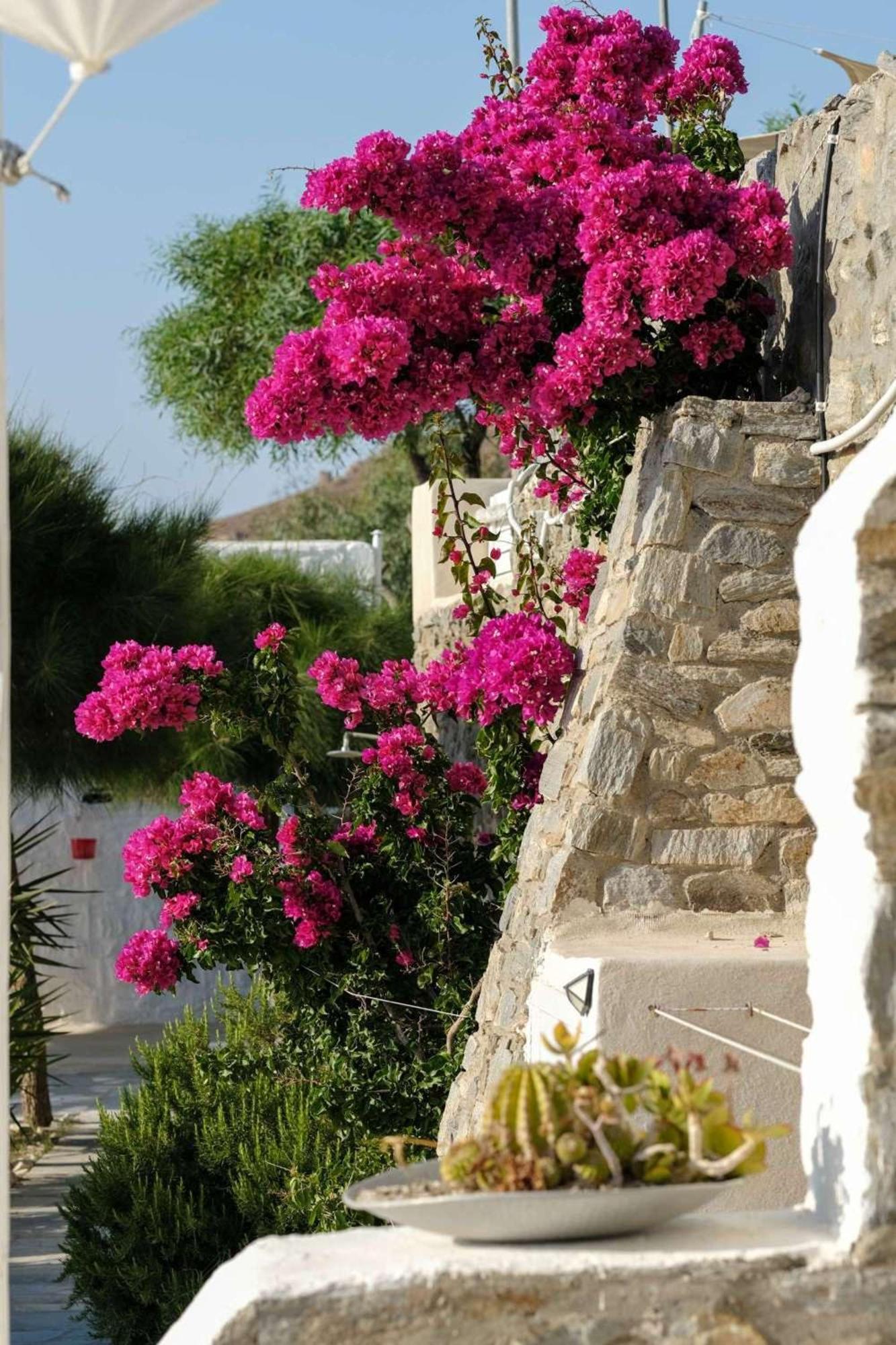 3 Paros All Season Villas 外观 照片